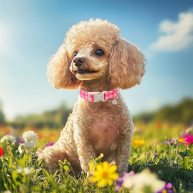 Girl Dog Collar for Giant Large Dogs - Cute Pink Plaid Puppy Collar, Soft Adjustable Spring Summer Female Dog Collars with Quick Release Buckle XL