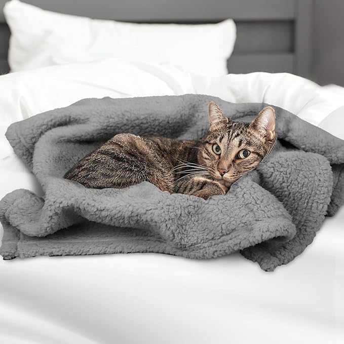 furrybaby Dog Blankets for Small Dogs, Puppy Small Fleece Blankets for Pets, Premium Cat Blanket, Sherpa Pet Blanket Washable for Pet Kitten Doggy (Grey, 24x32 in, S)