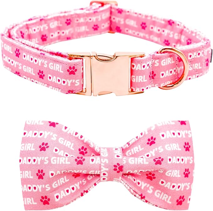 Lionheart Glory Bow Collar for Valentine's Day and Spring - Large Dog Collar With Bowtie, Pink Pet Collar