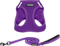 Best Pet Supplies Voyager Step-in Air All Weather Mesh Harness and Reflective Dog 5 ft Leash Combo with Neoprene Handle, for Small, Medium and Large Breed Puppies - Set (Purple), S