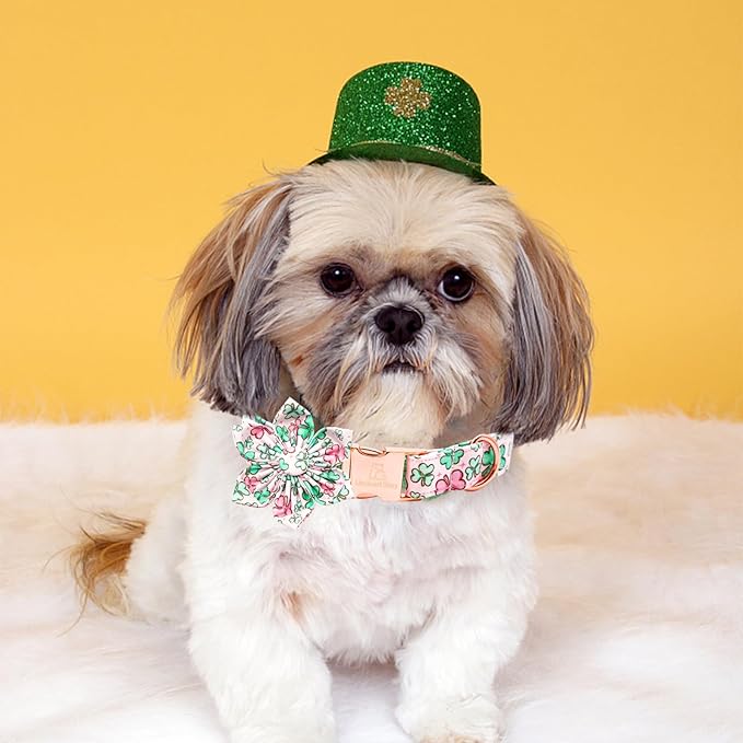 Lionheart glory St. Patrick's Day Dog Collar with Flower Dog Collar for Large Dogs, Green Collars Lucky Clover Shamrock Dog Collar Flower Pet Collar Bows Heavy Duty