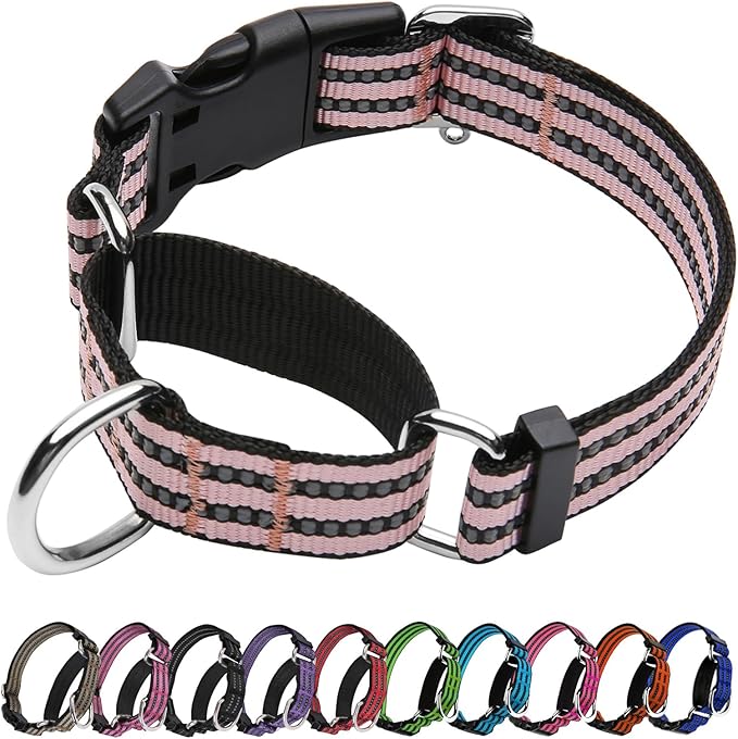 Martingale Dog Collar, Adjustable Nylon Reflective Collar with Quick Release Buckle (Light Pink, Large)