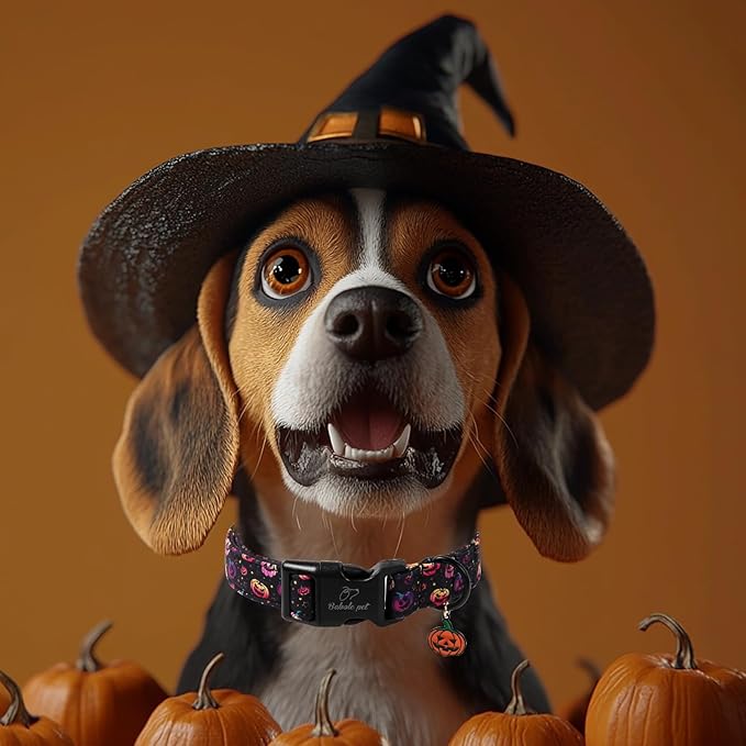 Halloween Dog Collar Spooky Fun Pumpkin Puppy Collar - Light Comfortable Adjustable Pet Collars for Small Medium Large Girl Boy Dogs XL