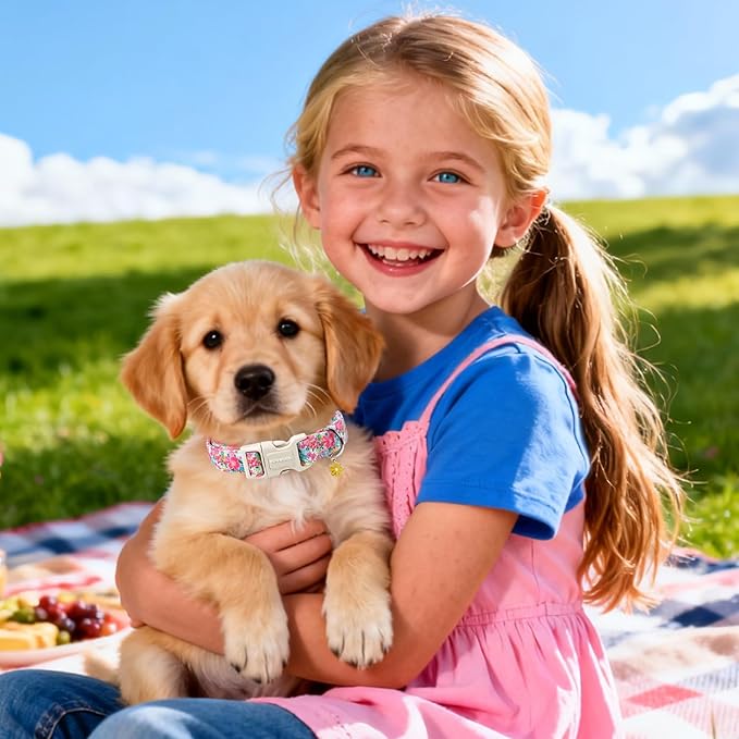 DOGWONG Spring Flower Dog Collar-Cute Floral Daisy Dog Collar, Adjustable Soft Girl Female Dog Collar for Medium Large Dogs, L
