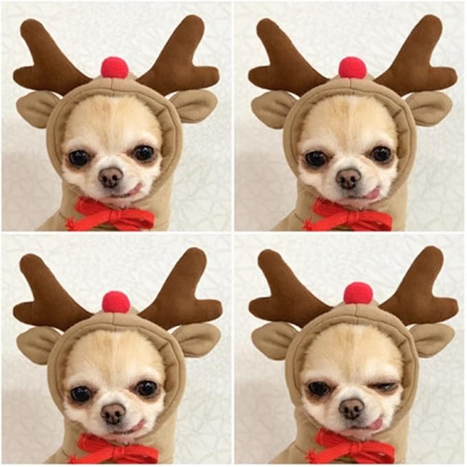 Warm Dog Winter Clothes Cute Fruit Dog Coat Hoodies Fleece Pet Dogs Costume Jacket for French Bulldog Chihuahua Ropa para Perro(Coffee,XXL)