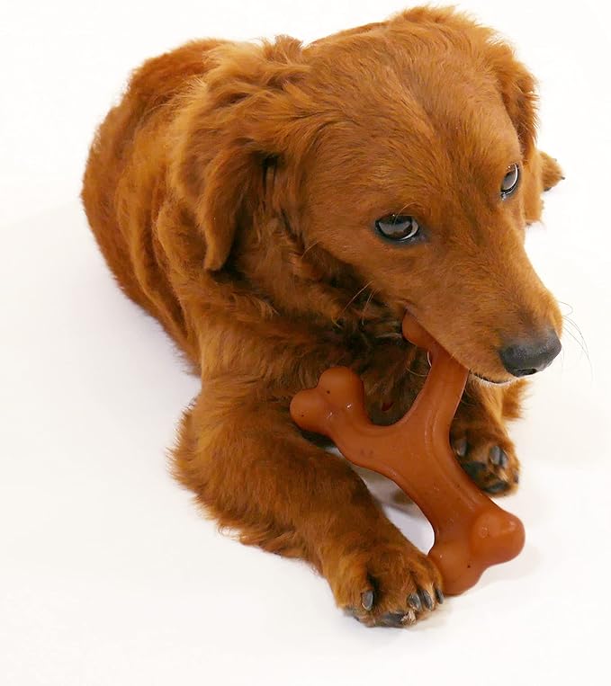 Nylabone Gourmet Style Wishbone Strong Chew Toy for Dogs, Bacon Flavor, Small - Up to 25 lbs, 1 Count