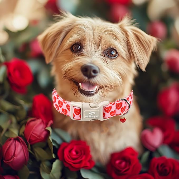 Valentines Dog Collar for Large Dogs - Valentine Red Conversation Hearts Dog Collars, Love Boy Girl Dogs Collars, Lightweight Adjustable Cute Puppy Collar with Quick-Release Buckle XL
