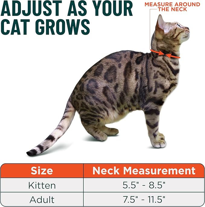 OutdoorBengal Blue Breakaway Kitten Collar - Ultra Safe Quick Release Cat Collar for Small Kittens Under 6 Months – Soft-Padded, Lightweight, Adjustable, Thin and Comfortable, No Bell (Blue, Kitten)