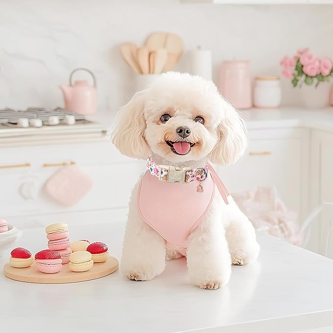 Cute Dinosaur Dog Collar, Adjustable Pink Dino Dog Collars for Large Dogs, Lightweight Quick-Release Buckle Birthday Collar for Boy&Girl Dogs L