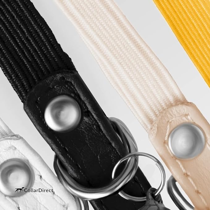 CollarDirect Leather Cat Collar, Kitten Collar with Removable Bell Black Blue Red Orange Lime Green (6-7 Inch, Orange)