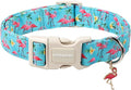 DOGWONG Spring Summer Dog Collar-Cute Flamingo Dog Collar, Adjustable Soft Beach Hawaiian Dogs Collars for Large Dogs, L