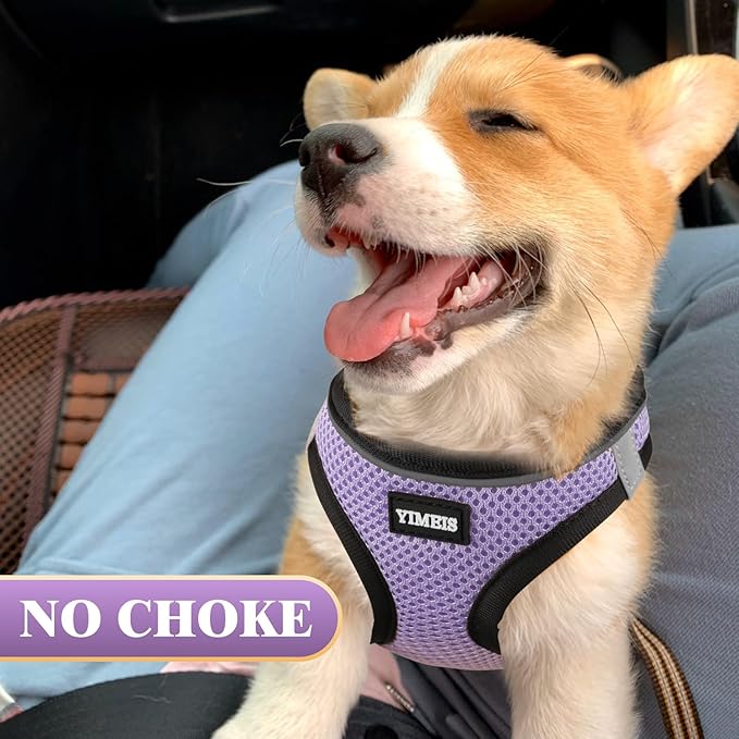 YIMEIS Dog Harness and Leash Set, No Pull Soft Mesh Pet Harness, Reflective Adjustable Puppy Vest for Small Medium Large Dogs, Cats (Taro Purple, Small (Pack of 1)