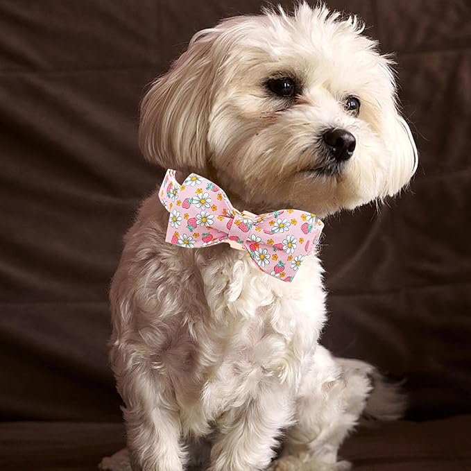 Lionheart glory Dog Collar Bow Collar Pink Dog Collar with Bow Tie Spring Summer Cute Collar Dog Female Soft Durable Adjustable Dog Collars for Small Dogs Pet Gift