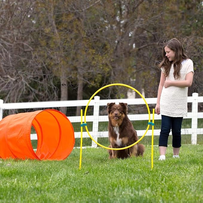 Outward Hound Zip & Zoom Outdoor Dog Agility Training Kit for Dogs