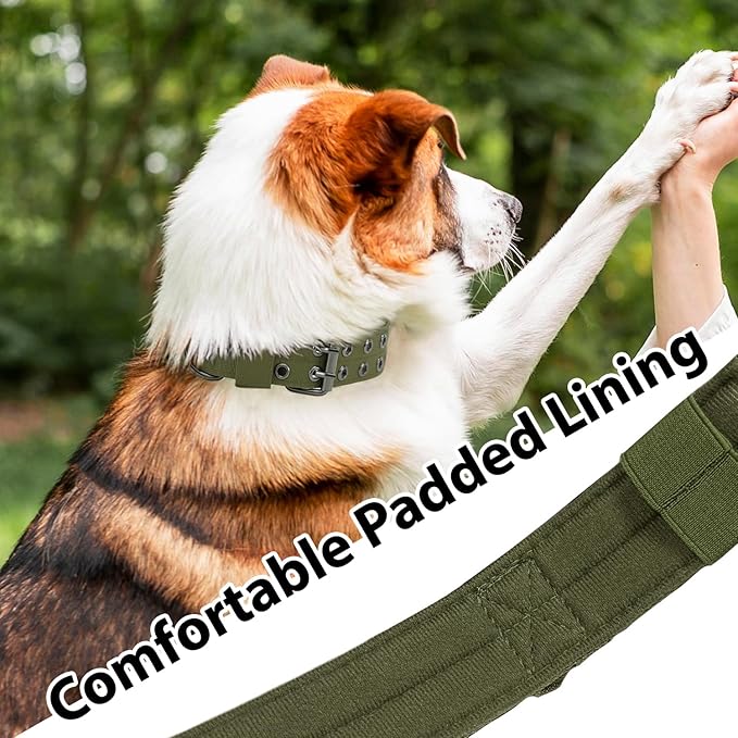 Tactical Dog Collar Military Adjustable Dog Collars Soft Nylon Training Collar with Patch Heavy Duty Metal Buckle Collars for Medium Large Dogs (Green, M)