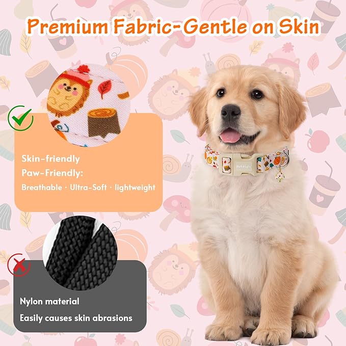 Fall Woodland Dog Collar, Playful Squirrel & Pumpkin Print on White Collar for Small Medium Large Dogs, Breathable, Adjustable & Comfortable Puppy Collar for Fall Walks & Pet Photos-XS