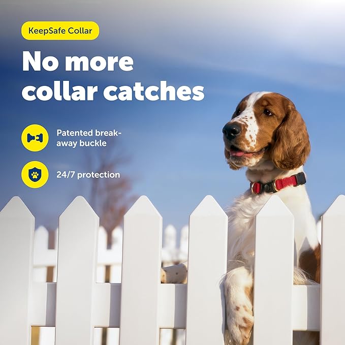PetSafe KeepSafe Collar for Dogs - Protects Against Collar Accidents - Long Lasting - Durable - Adjustable - Breakaway - Outdoor-Safe - Medium - 3/4 In. Wide - Red