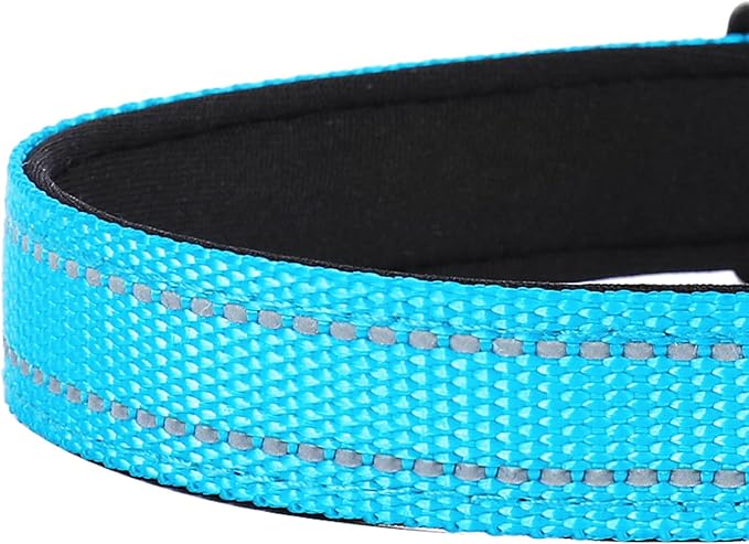 Reflective Dog Collar, Adjustable Soft Neoprene Padded Nylon Pet Collars with Buckle for Small Dogs, Sky Blue,S