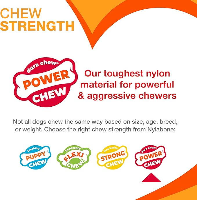 Nylabone Original Bone Power Chew Toy for Dogs, Durable & Tough Dog Toys for Aggressive Chewers, Chicken Flavor, Medium - Up to 35 lbs, 1 Count