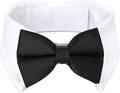 Segarty Bow Tie Cat Collar for Neck Girth 8.8-10.5 in, Tux Puppies Dog Bowtie with Handcrafted Adjustable White Collar Formal Pet Cats Necktie for Cats Small Dog Wedding Party