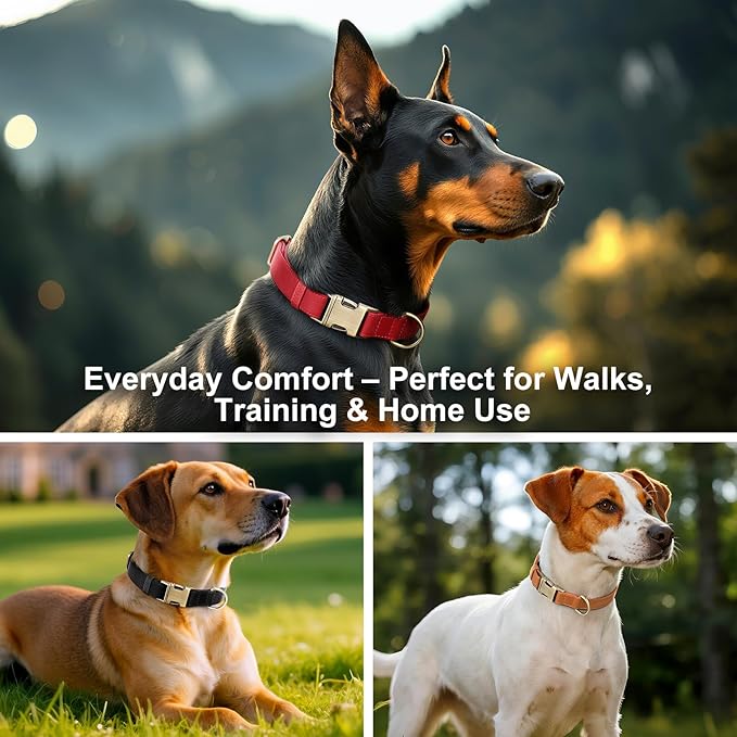 Plutus Pet Genuine Leather Dog Collar – Adjustable Pet Collar with Quick Release Metal Buckle, Soft Real Leather for Small Medium Large Dogs, Heavy Duty & Skin-Friendly (Burgundy, S)