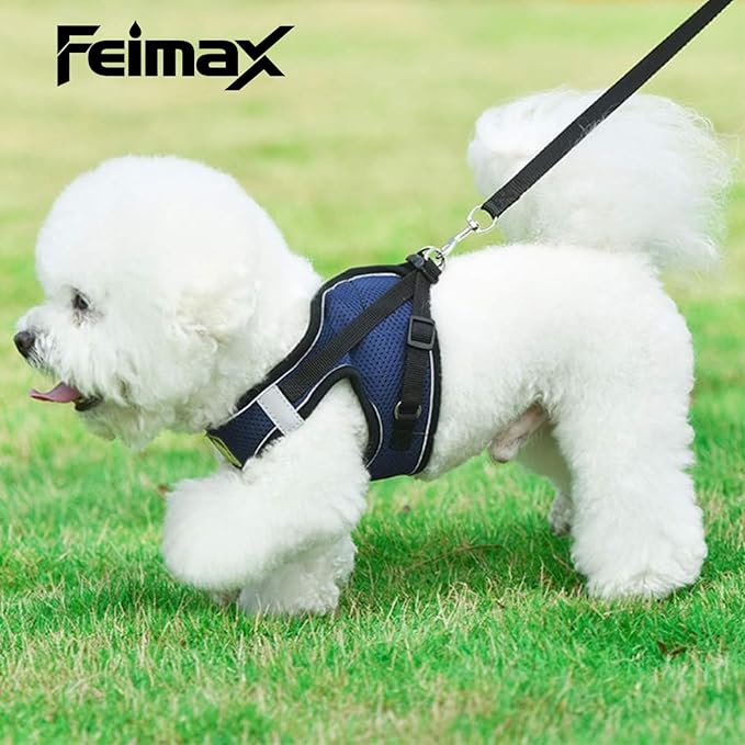 FEimaX Dog & Cat Harness Set, No Pull, Reflective, Adjustable, Soft Mesh, Red, M (Chest 13.7-15.7'')