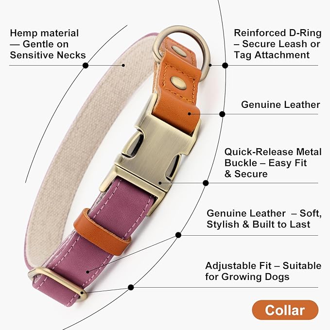 Plutus Pet Genuine Leather & Hemp Dog Collar – Adjustable Heavy Duty Pet Collar with Quick Release Metal Buckle, Soft & Stylish for Puppy and Small, Medium, Large Dogs (Purple, M)