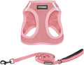 Best Pet Supplies Voyager Step-in Air All Weather Mesh Harness and Reflective Dog 5 ft Leash Combo with Neoprene Handle, for Small, Medium and Large Breed Puppies - Set (Pink), S