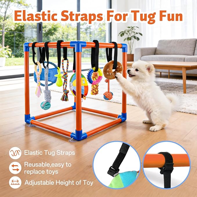 Puppy Play Gym for Small Dogs with 10 Hanging Squeaky Toys - Indoor Enrichment Activity Center with Climbing, Sliding & Interactive Toys, Jungle Gym for Puppy Play