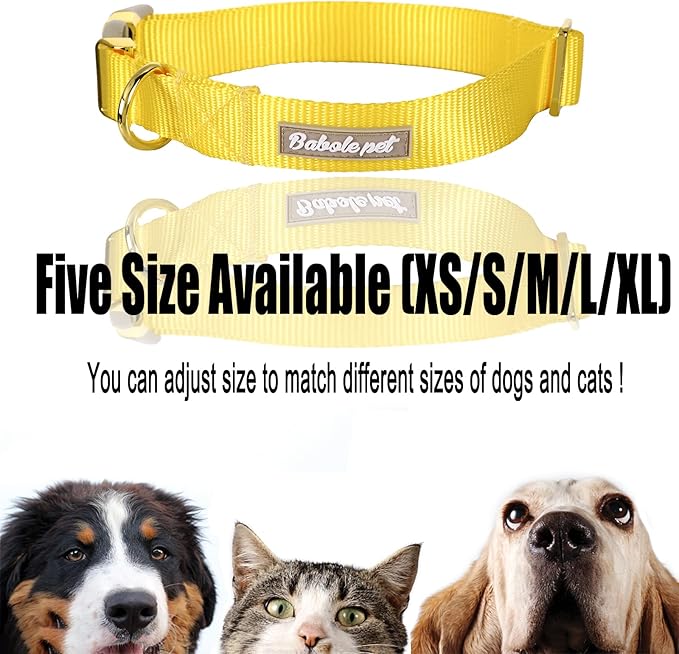 Nylon Dog Collar - Adjustable Yellow Soft Webbing Dog Collars for Small Medium Large Dogs Boy Girl Puppy Collar with Safety Metal Buckle L