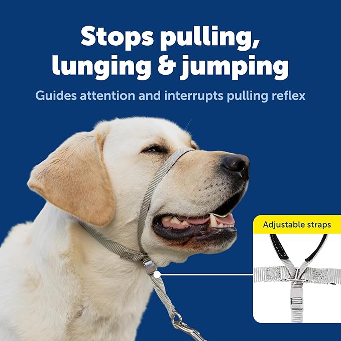 PetSafe Gentle Leader Headcollar No-Pull Dog Collar - Helps Improve Walks - Durable Nylon Construction - Padded Nose Loop - Adjustable Fit - Comfort Walking Halter - Medium, Silver
