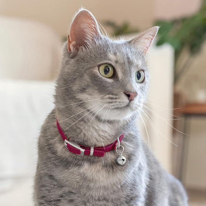 CollarDirect Leather Cat Collar with Bell - Kitten Collar, Small and Big Cat Collar for Boy Cats, Girl Cats with Safety Elastic Strap (Neck Fit 6"-7", Pink)