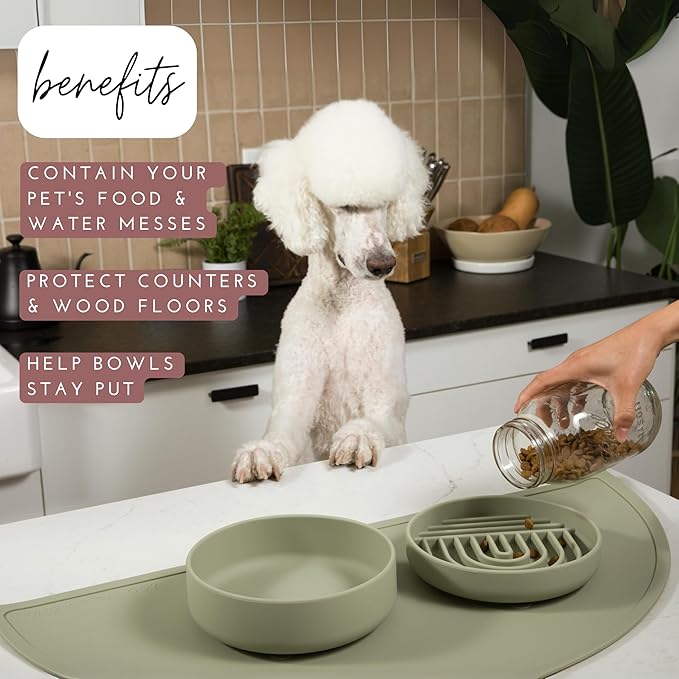 Should We Go - Waterproof Silicone Pet Food Mat - Non-Slip, Spill-Proof Feeding Mat for Floors, Raised Edge Design, Easy-to-Clean, Rubber Pad for Dog & Cat Bowls, 28" Across x 14" Deep, Large-Blush