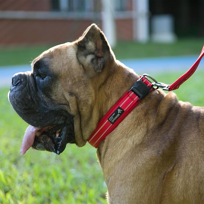 EXCELLENT ELITE SPANKER Reflective Dog Collar Classic Soft Padded Breathable Nylon Adjustable Pet Collar with Quick Release Buckle for Boy Girl Male Female Small Medium Large Dogs Training(Black-L)