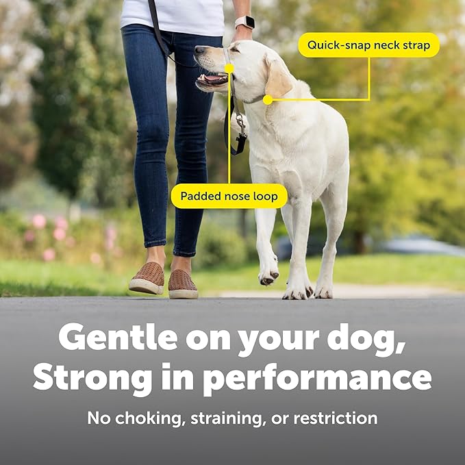 PetSafe Gentle Leader Headcollar No-Pull Dog Collar - Helps Improve Walks - Durable Nylon Construction - Padded Nose Loop - Adjustable Fit - Comfort Walking Halter - Small, Fawn