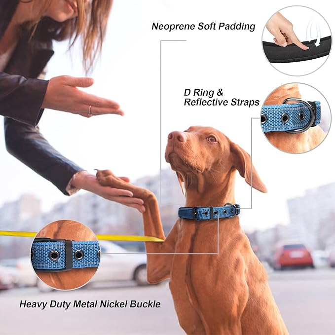 PetiFine Dog Collar for Large Dogs, Neoprene Padded and Adjustable, Reflective Wide Heavy Duty Pet Collars with Durable Metal Belt Buckle for Walking, Blue, L