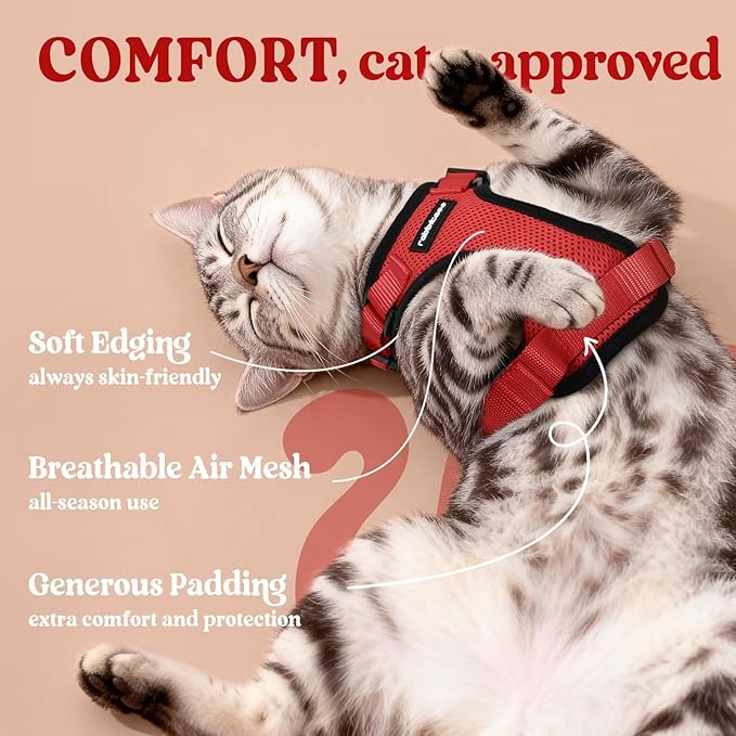 rabbitgoo Cat Harness and Leash for Walking, Escape Proof Soft Adjustable Vest Harnesses for Cats, Easy Control Breathable Reflective Strips Jacket, Red, XXS