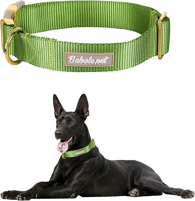 Nylon Dog Collar - Adjustable Green Soft Webbing Dog Collars for Small Medium Large Dogs Boy Girl Puppy Collar with Safety Metal Buckle XS