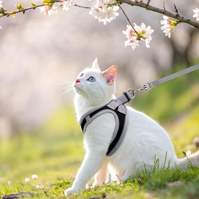 SCENEREAL Cat Harness and Leash Set Escape Proof, Adjustable Soft Air Mesh Kitten Harnesses for Girls Boys Small Medium Big Cats, Reflective Light Travel Pet Walking Vest for Puppy Rabbit, Black S