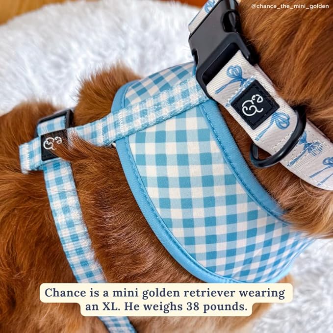 Lucy & Co. Cute Reversible Dog Harness Walking Halter - Best Designer Pet Harnesses for XS - XL Dogs - Padded Adjustable Vest for Easy Walking - Small - White with Blue Bows