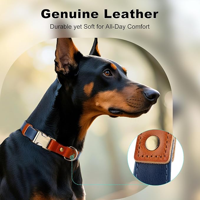 Plutus Pet Genuine Leather & Hemp Dog Collar – Adjustable Heavy Duty Pet Collar with Quick Release Metal Buckle, Soft & Stylish for Puppy and Small, Medium, Large Dogs (Royal Blue, XS)