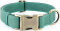 Plutus Pet Genuine Leather Dog Collar – Adjustable Pet Collar with Quick Release Metal Buckle, Soft Real Leather for Small Medium Large Dogs, Heavy Duty & Skin-Friendly (Green, M)