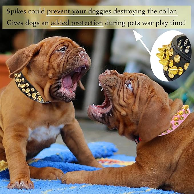 TEEMERRYCA Black Leather Dog Collar with Gold Spikes for Male Small Medium Large Pets, Pit Bulls/Bulldog, Keep Dog Safe from Grabbing by Huge Dogs, M(12"-15")
