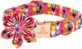 Lionheart glory Easter Dog Collar with Flower Carrot Print Dog Collar Girl Soft Durable Adjustable Puppy Gift Collar Bows Spring Collar Dog Flower