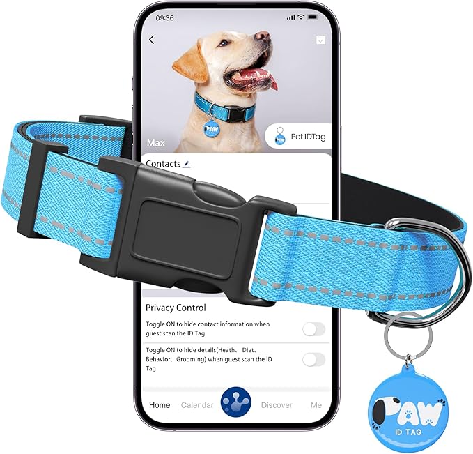Reflective Dog Collar for Small Dogs with Dog Tags Personalized & Quick Release Buckle, Adjustable and Comfortable Nylon Pet Collar, Blue