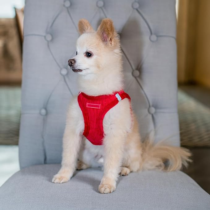 Voyager Step-In Plush Dog Harness – Soft Plush, Step In Vest Harness for Small and Medium Dogs by Best Pet Supplies - Harness (Red Corduroy), XS (Chest: 13 - 14.5")
