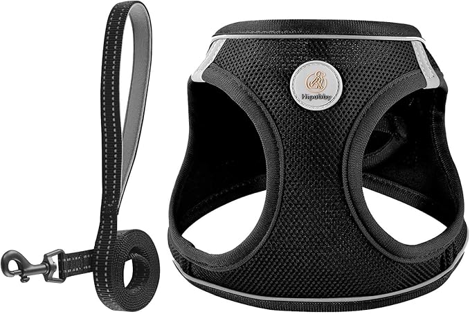 Hipubby Dog Harness and Leash Set, No Pull Soft Mesh Puppy Harness for Small Medium Dogs, Cats - Step in Reflective Breathable Lightweight Vest Harness for Walking, Training - Black, XXS