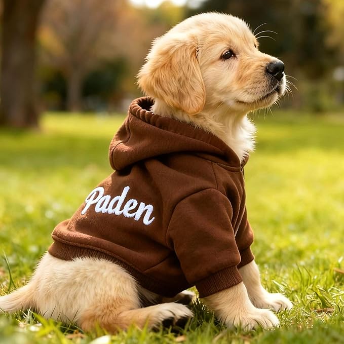 Personalized Name Dog Hoodie, Embroidered Hoodies Pets Name, Custom Pet Memorial, Bright Puppy Sweatshirt, Customized Pet Clothes Warm Winter Outfit for Dogs, Gift for Dog Lovers Style 7