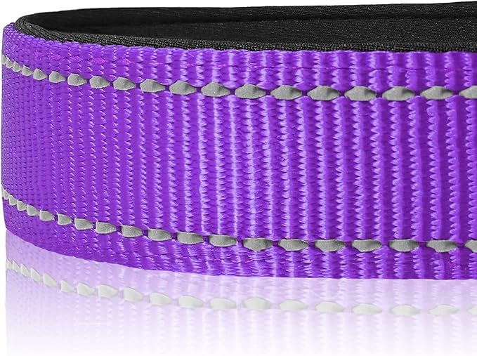 Joytale Reflective Dog Collar, Soft Neoprene Padded, Metal D-Ring, Nylon Pet Collar Adjustable for Puppy and Small Dogs, Purple, XS