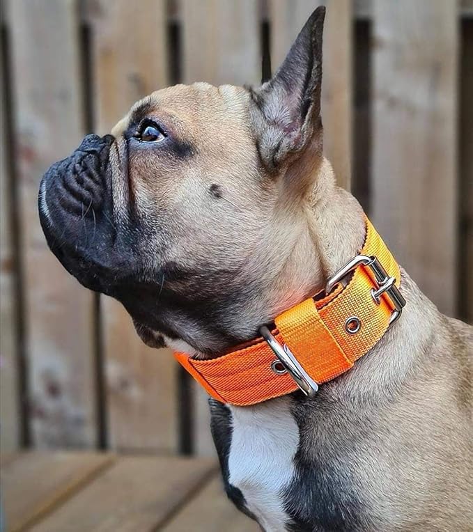 Heavy Duty Tactical Dog Collar - 1.5" Width Military Durable Thick Nylon with Adjustable Metal D Ring & Buckle Working Training K9 Collar for Medium Large Dogs (S(14"-17"), Orange)